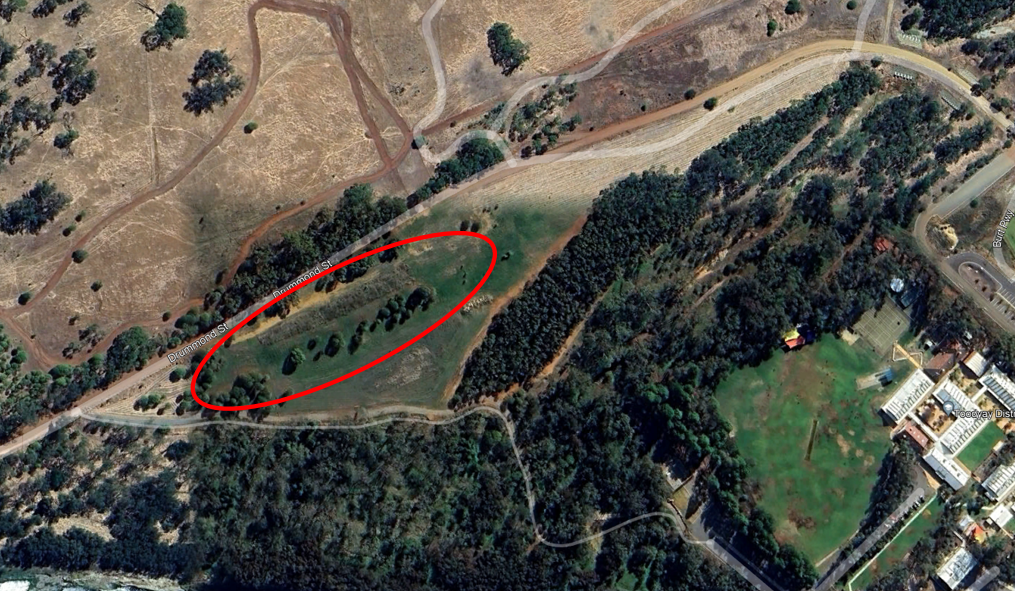 A aerial map showing the area of infill planting and walk track development.