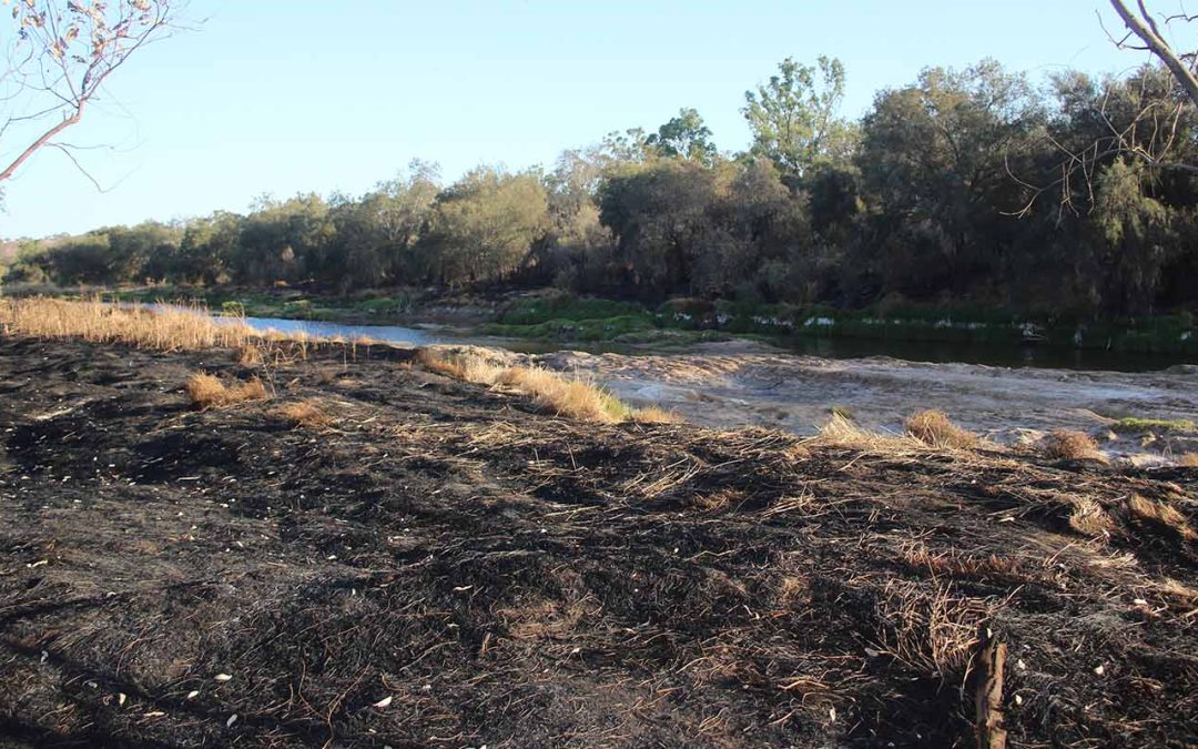 Bushfire Strikes West Toodyay