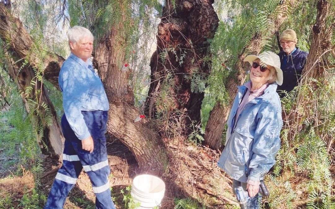 Our role in protecting the precious environment