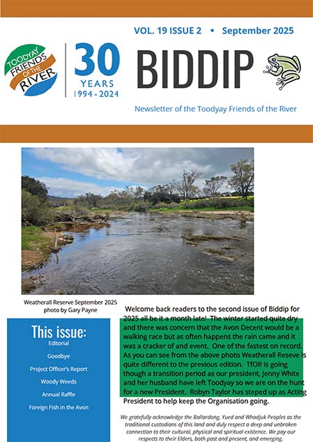 BIDDIP Newsletter September 2025 cover BIDDIP Newsletter September 2025 cover
