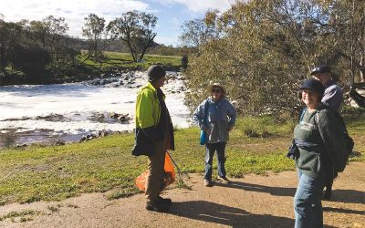 Working bees, cleanups & Woody Weed Warriors